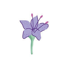 cute geranio flower nature isolated icon vector illustration design