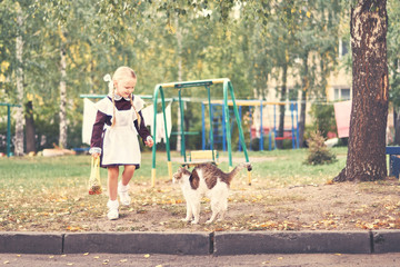yard cat scared little girl. schoolgirl plays in the yard with animals.