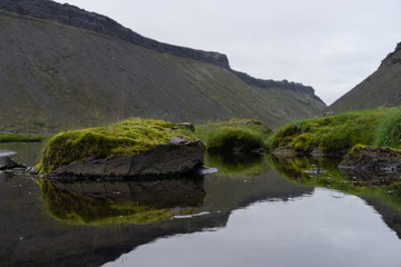 Eldgja canyon covered with moss in Iceland highlands