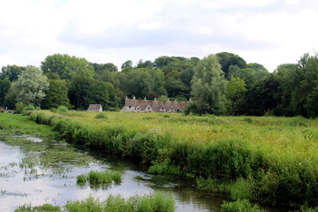 landscape with river and trees