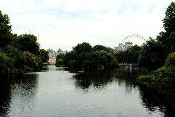 Fototapeta premium lake in the park