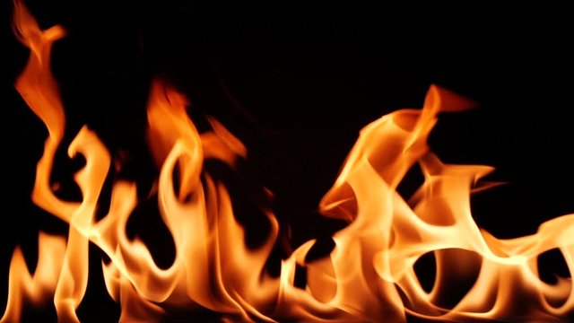 Slow motion of igniting and burning line of real fire flame on black background