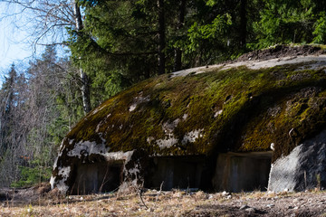 Bunker in the forest