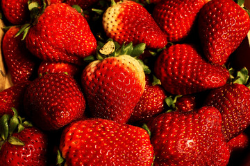 Fresas maduras listas para comer.