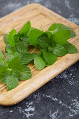 Fresh mint leaves