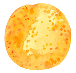 Orange. Hand drawn watercolor illustration isolateв on white.