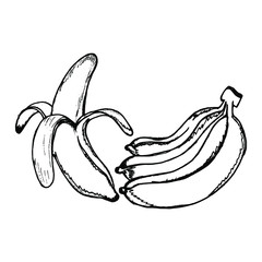 Banana hand drawn doodle style icon vector illustration