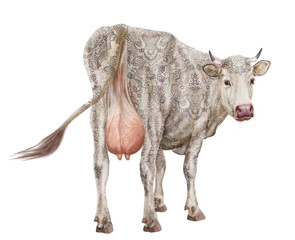 vache laitière, elle regard,  motives floral, tatoué, blanche,, coeur, amour, du dos, animal, ferme, joli, belle, bétail, brun, gazon, mamelle, blanc, agriculture, champ, taureau, fond blanc, mammifèr