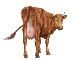 vache laitière, elle regard,  motives floral, tatoué , coeur, roux, amour, du dos, animal, ferme, joli, belle, bétail, brun, gazon, mamelle, blanc, agriculture, champ, taureau, fond blanc, mammifère, 