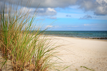 D&uuml;nengr&auml;ser mit Seeblick