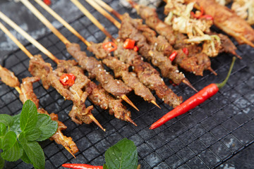 Delicious lamb kebab