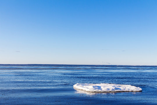  Ice Floe In Cold Blue Water