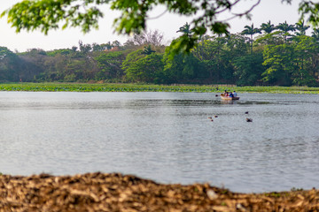 Fototapeta na wymiar A group of unrecognisable four people is boating on Karanji Lake, Mysore, India