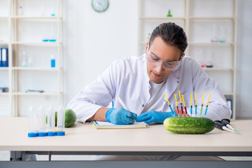 Male nutrition expert testing vegetables in lab