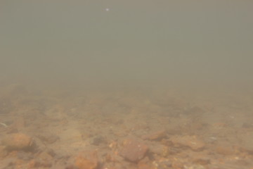 Sea bottom. Murky water. Underwater soft background