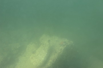 Sea bottom. Murky water. Underwater soft background