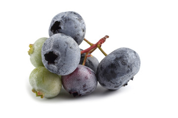 Bunch of blueberries isolated on white