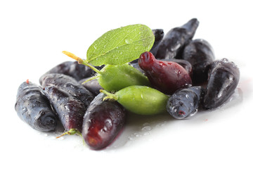 Honeyberry isolated on white. Ripe and unripe berries