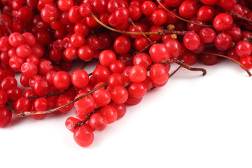Schisandra chinensis (five flour fruit, magnolia berry)