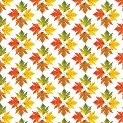 Naklejka na ściany i meble Different color maple leaves on white background. Autumn maple leaf copies. Creative fall season pattern.