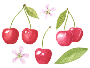 Set of garden red sweet cherry, hand drawn botanical watercolor illustration isolated on white.