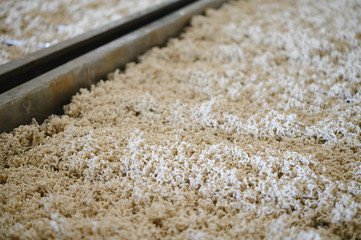 Rubber processing factory,Standard Thailand Rubber STR 20, Block rubber, Rubber rods made from latex. High physical properties.