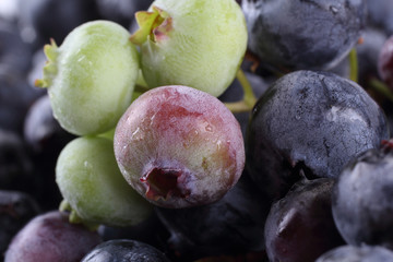 Blueberries background. Fresh organic berries
