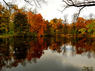 autumn landscape with lake and trees