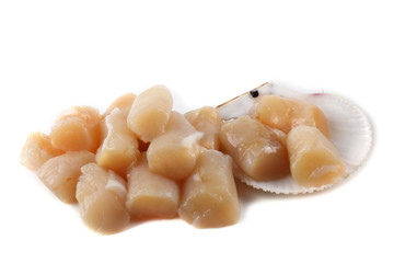 Scallop fillet on shell isolated on white