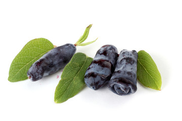 Honeysuckle berries isolated on white