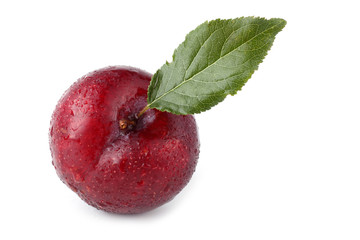Plum with leaf