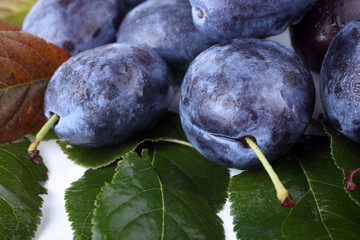Blue plums on autumn leaves background