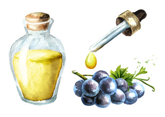 Blue Grape essential oil set. Hand drawn watercolor horizontal  illustration  isolated on white background