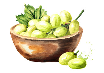 Bowl with Green sultana grapes with green leaf. Hand drawn watercolor horizontal  illustration  isolated on white background