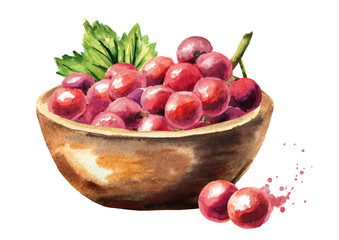 Bowl with Red grapes with green leaf. Hand drawn watercolor horizontal  illustration  isolated on white background