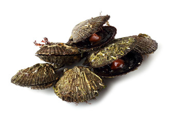 Fresh scallops isolated on white