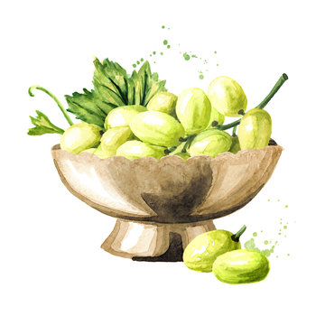 Bowl with Green sultana grapes with green leaf. Hand drawn watercolor horizontal  illustration,  isolated on white background