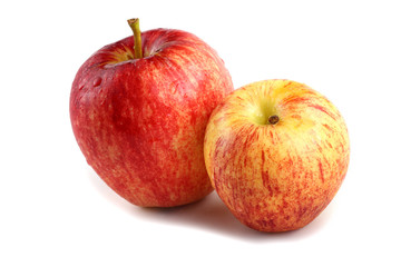 Fuji and gala apples