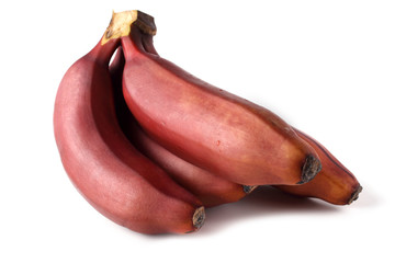 Red bananas isolated on white