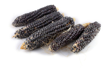 Black corn isolated on white