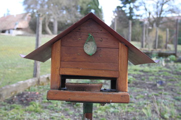 Bird wooden house and sunflower seed ball