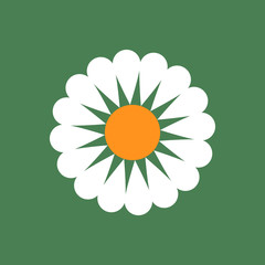 Chamomile icon. Isolated daisy on green background, abstract simple flower design. Modern minimal design. Vector illustration perfect for creating collages, design of banners, greeting cards etc.