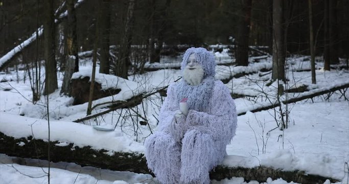 Yeti fairy tale character in winter forest. 5 in 1 outdoor fantasy 4K footage.