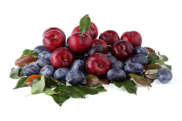 Plums on autumn leaves
