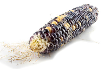 Black corn isolated on white