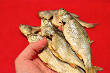 Dried salted fish Vobla on red background. Traditional Russian appetizer. Salty Beer Snack