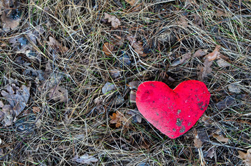 Dirty plush red heart lies in the forest on the grass, concept of love
