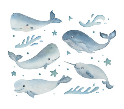 Watercolor set of sea animals on the white background. Cartoon whale, cachalot, narwhal and beluga with decorative elements. Ideal for postcards, posters and kids decor.