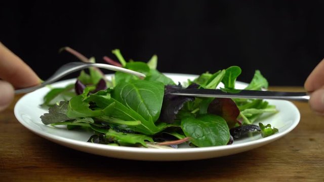 Slow motion shot of fresh salad with rucola, purple lettuce, spinach, frisee and chard leaf on a white plate with fork and knife. Diet and healthy eating concept