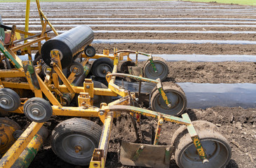 Tractor Attachment for Plastic Mulch Bed Laying - Intensive Vegetable Production